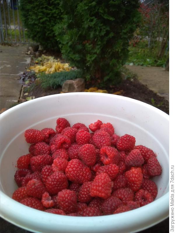 Тоже 13 октября