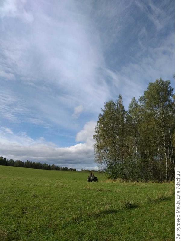 Вчера, заодно и за грибами