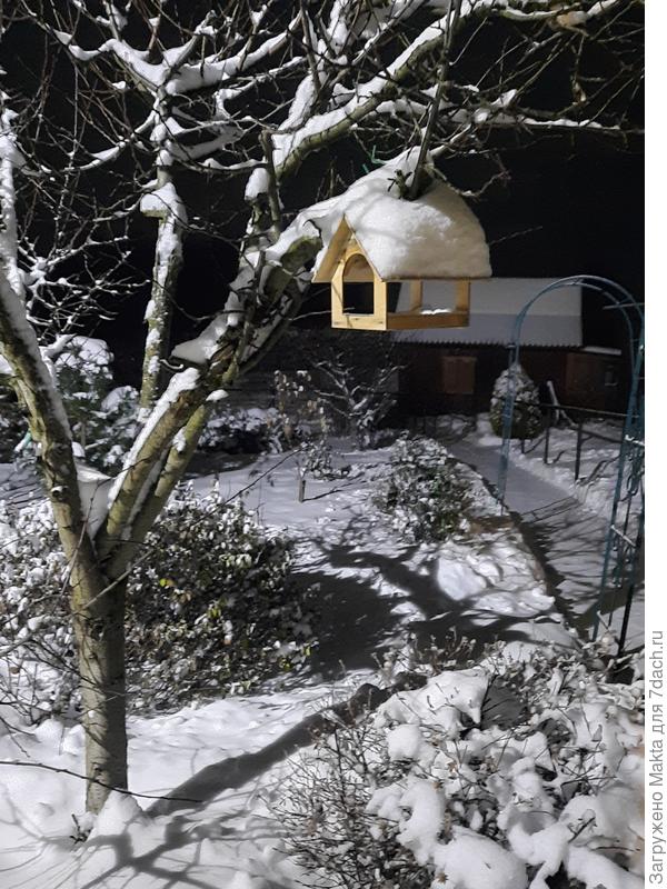 Одна из кормушек. Утром здесь будут синицы