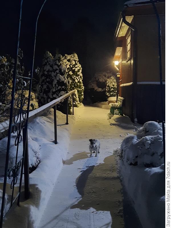 Ночная прогулка