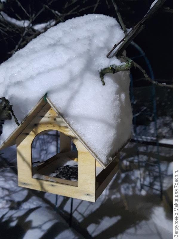 Семечки насыпаны