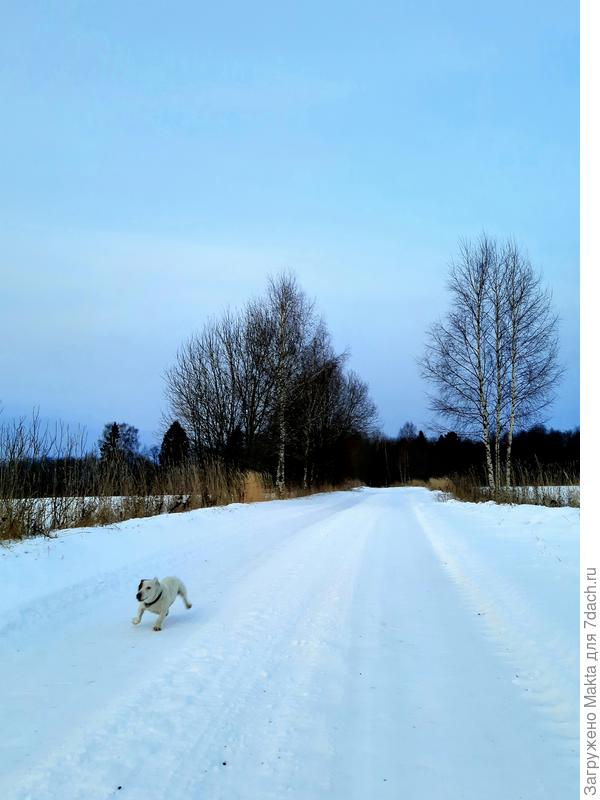 На прогулке