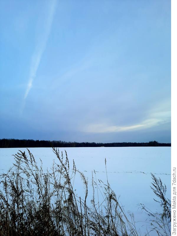 Голубые дали