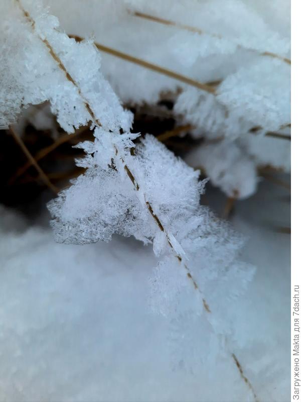 Ледяной "пух"