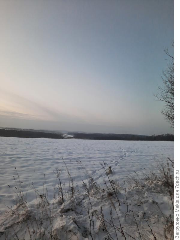 По кабаньим следам:) Охотничий инстинкт даже маленькой собаки никуда не денешь.