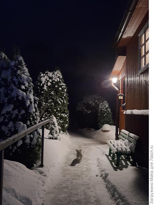 Чистим каждый свой участок:) здесь мой