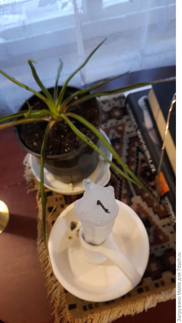 20 ноября, такую застала