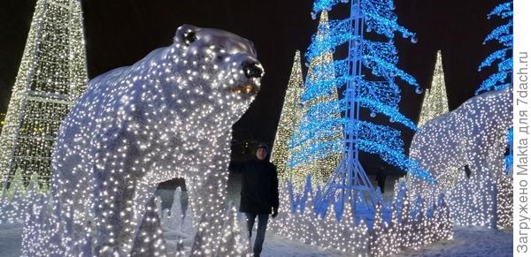 Высота медведя около 5 м