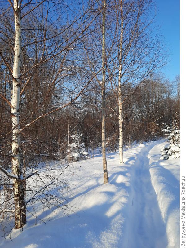 За участком тропка по берегу реки