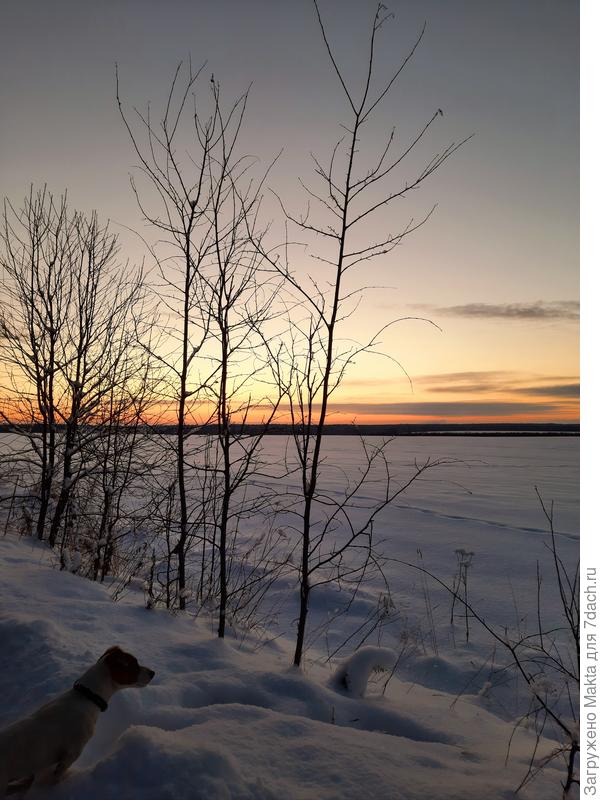 Сегодняшняя поздняя прогулка. Опять кабан прошёл.