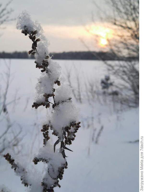 Январский закат