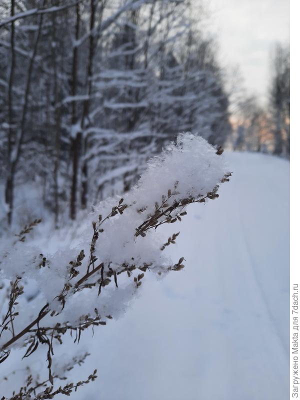 Редко бывает такой невесомый снег