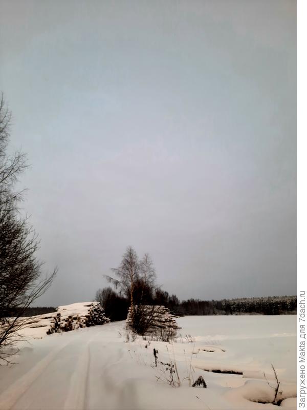 Это из того леса