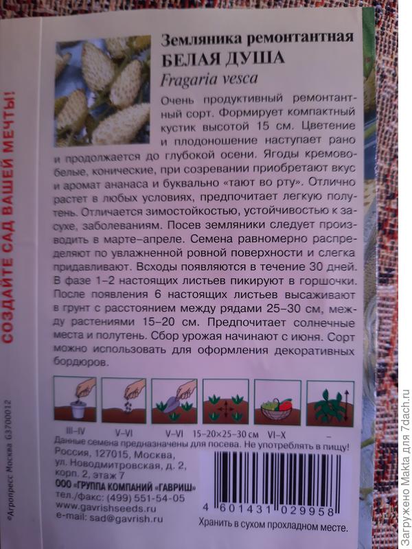 Описание сорта