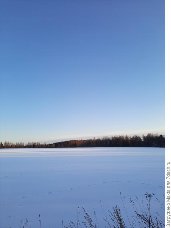 Заячьи &quot;круги&quot; везде