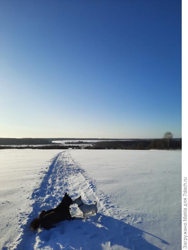 По следу снегохода к реке