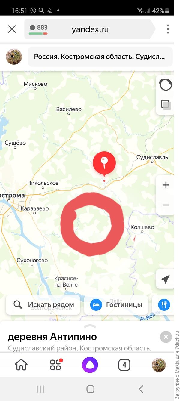 Красным кружком отметила лосеферму, севернее - наша деревня