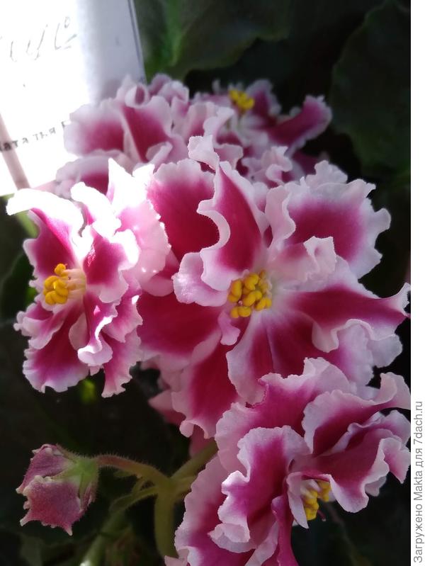 С Днём рождения!