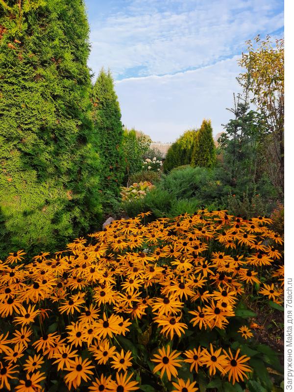 Корник на дальнем плане.