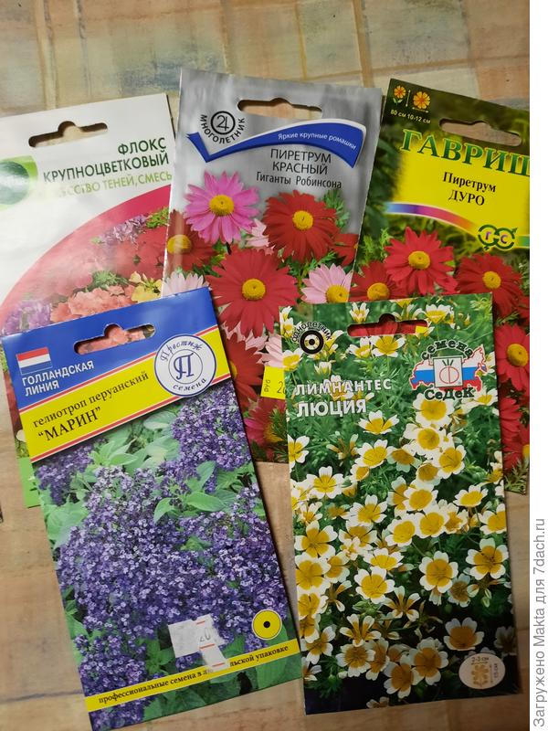 Посею сегодня.