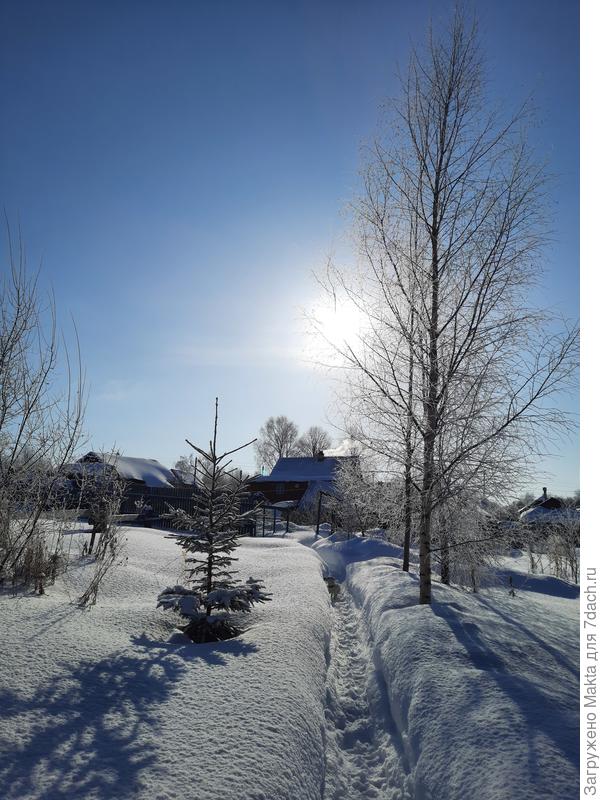 За участком, тропку чищу всегда я, это "мой" участок:)