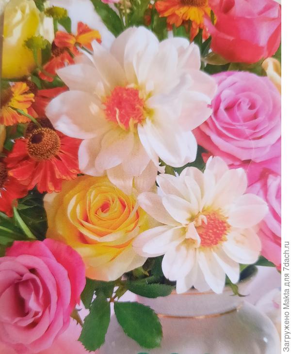 С Днём рождения, Лариса!