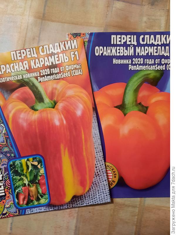 Жду, сколько времени уйдёт на прорастание