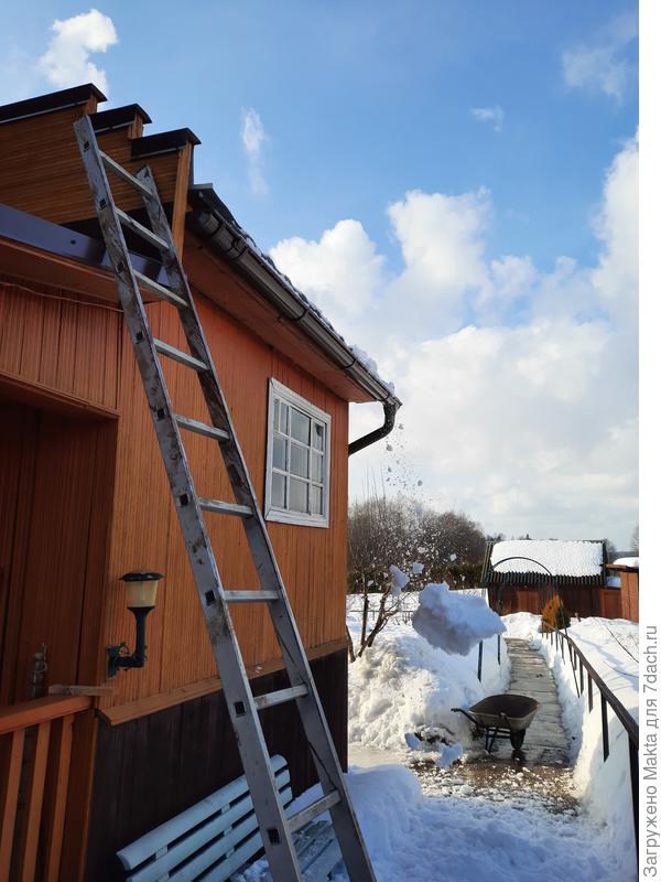 Сегодня пришлось сбросить остатки с веранды, чтобы ненароком не упали на собаку