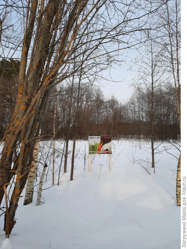 Табличка в начале леса. Без идиоматических выражений костромич - не костромич:) И когда успели уточнить надпись!?