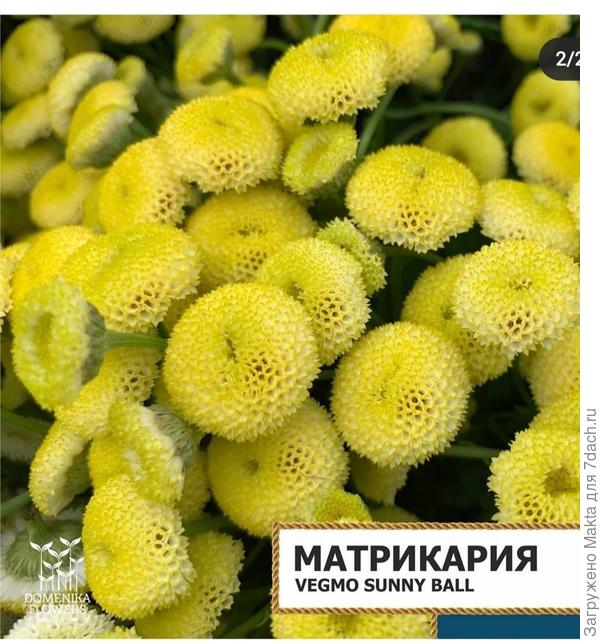 Посев 18.02.2021 в 21-00