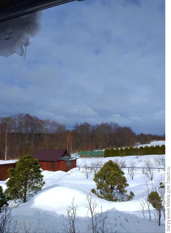 Сейчас +1 и последняя ночь будет холодная