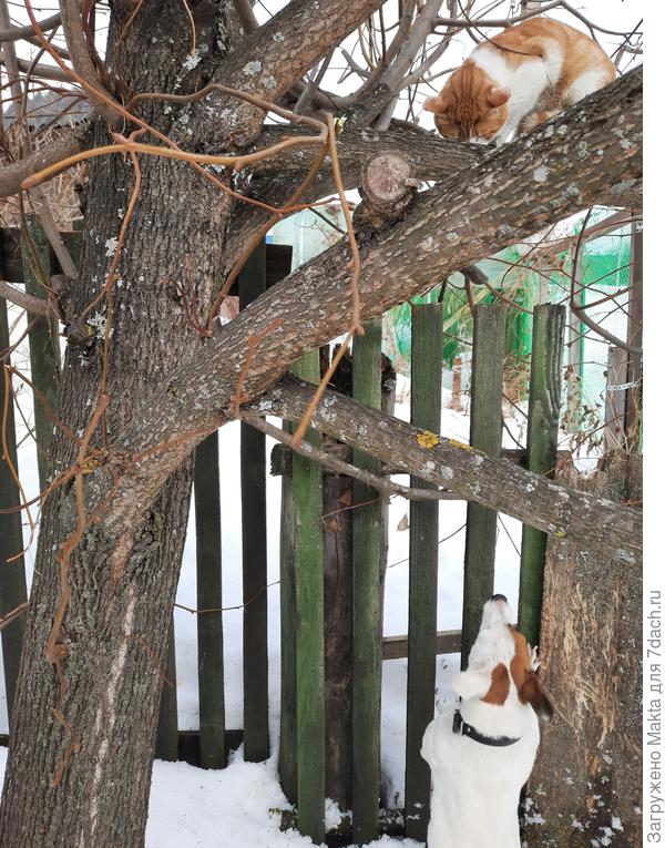 Весна, однако:)