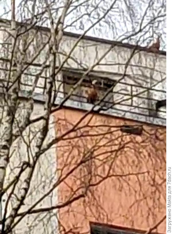 Всё равно видно пару