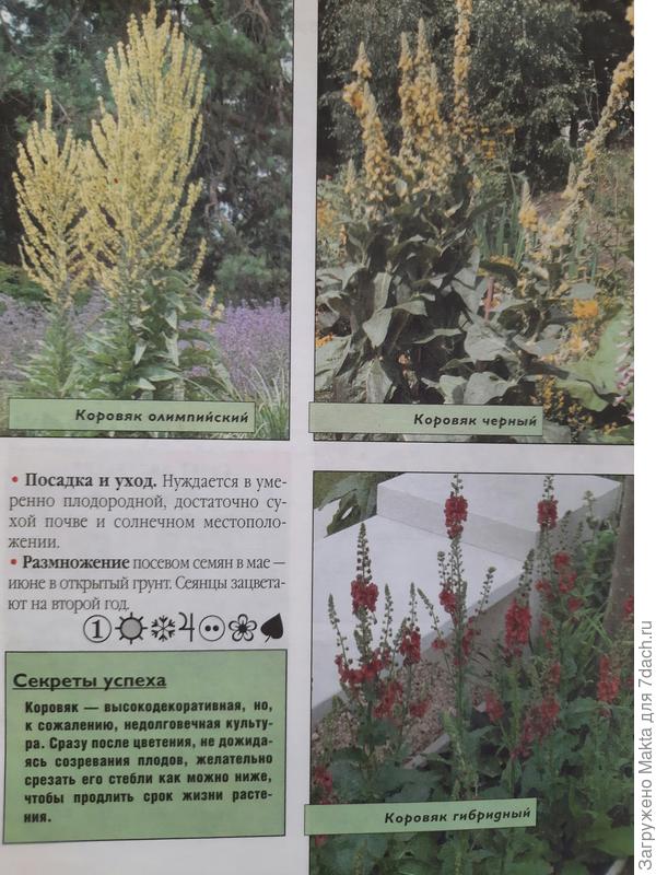 Страничка из справочника.