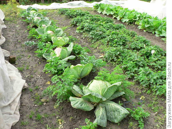 Справа Хибинская, фото старое, не люблю я беспорядок показывать, но фото свежих не делала.