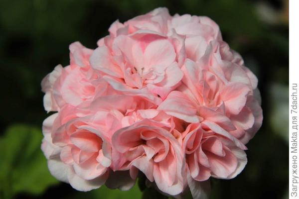 Поздравляю!