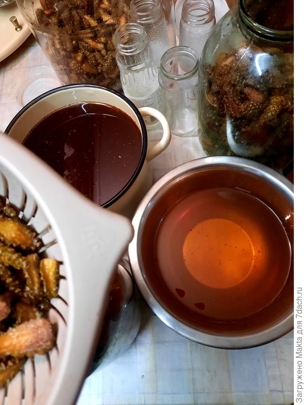 Сироп из шишек