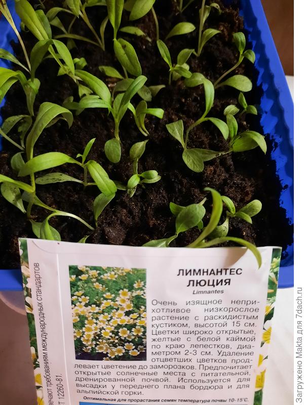 3 апреля. Здесь уже напутала:)