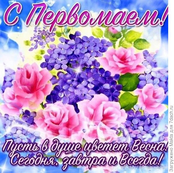 Поздравляю всех семидачников!