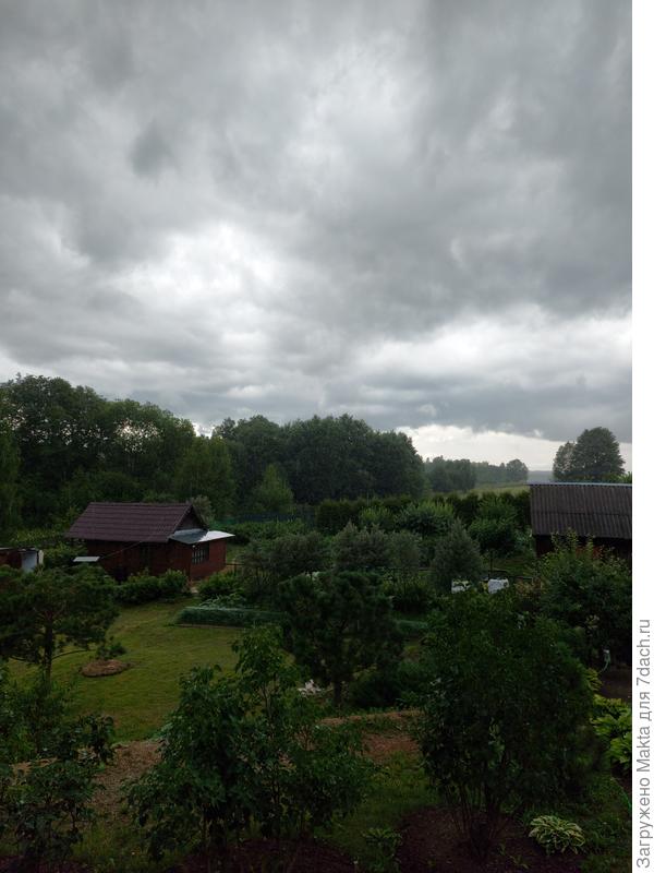 Начало вчерашней грозы в 16-30 час.