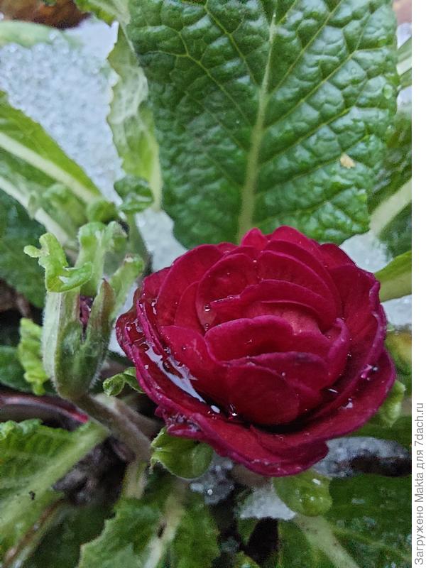 Поздравляю!