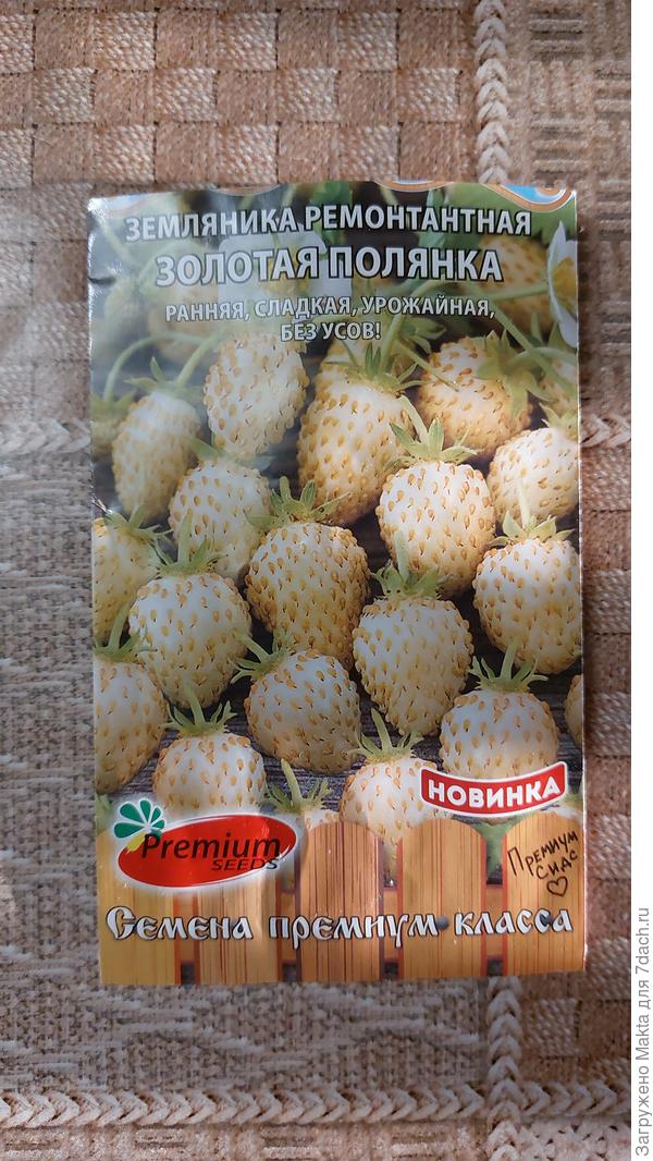 Золотая полянка, пишут, что сорт устойчив в болезням.