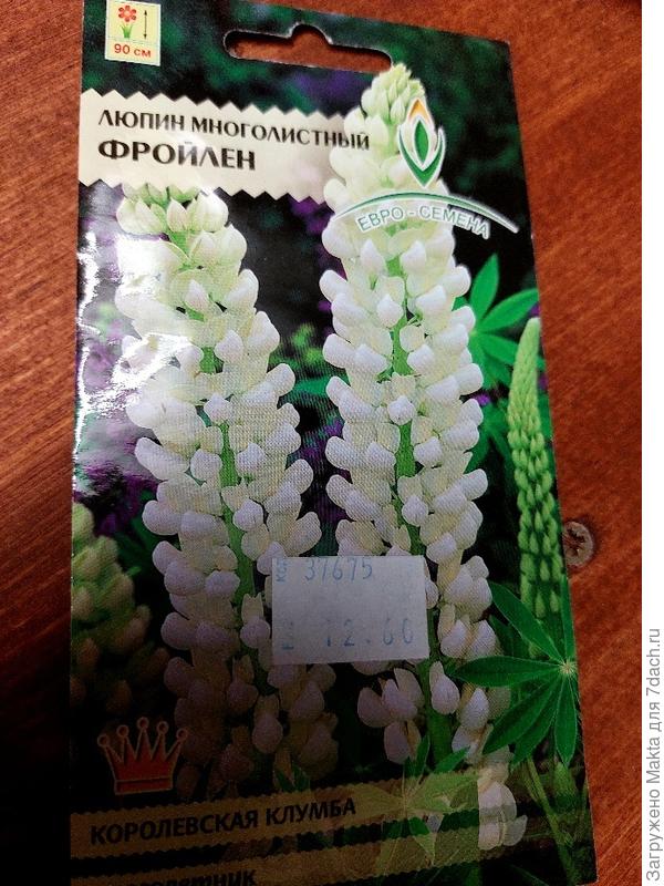 Семена 2016г. , оставшийся пакетик. Хранятся семена люпина 3-5 лет