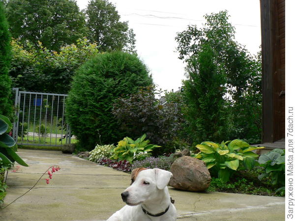 Слева случайно один цветонос попал в кадр