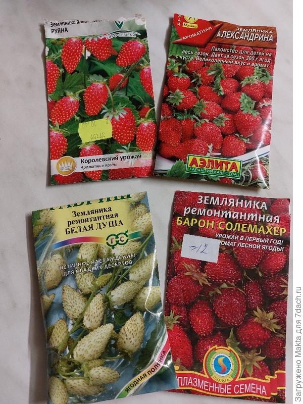 Красивые фото, привлекают глаз:)