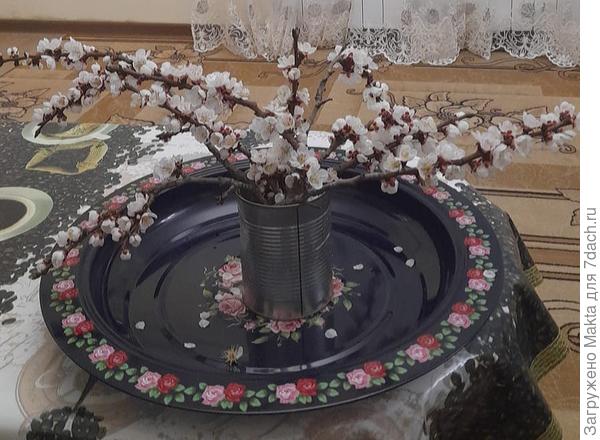 Зато в Дербенте уже расцвела абрикосы и миндаль. Фото от родственников.