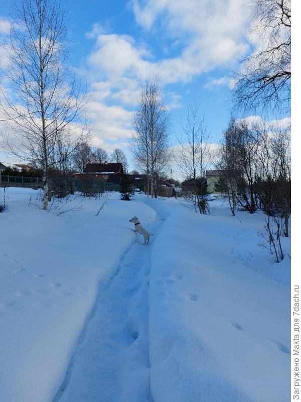 Дело к вечеру, морозец.