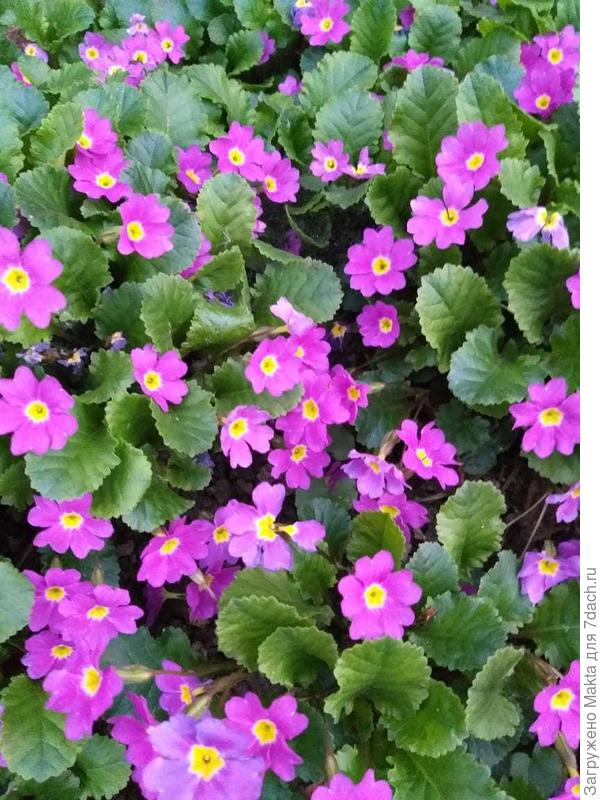 С Днём рождения!