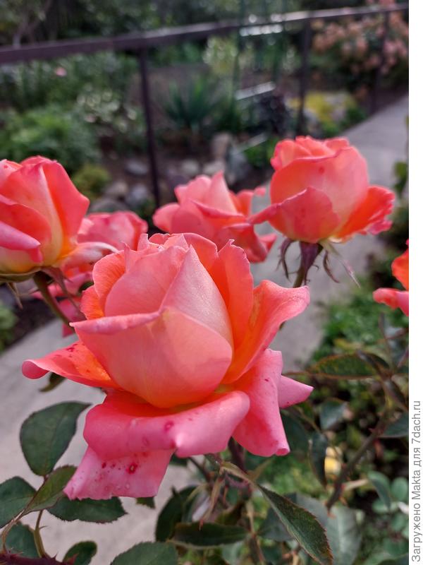 Поздравляю!