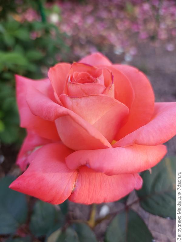 Поздравляю!